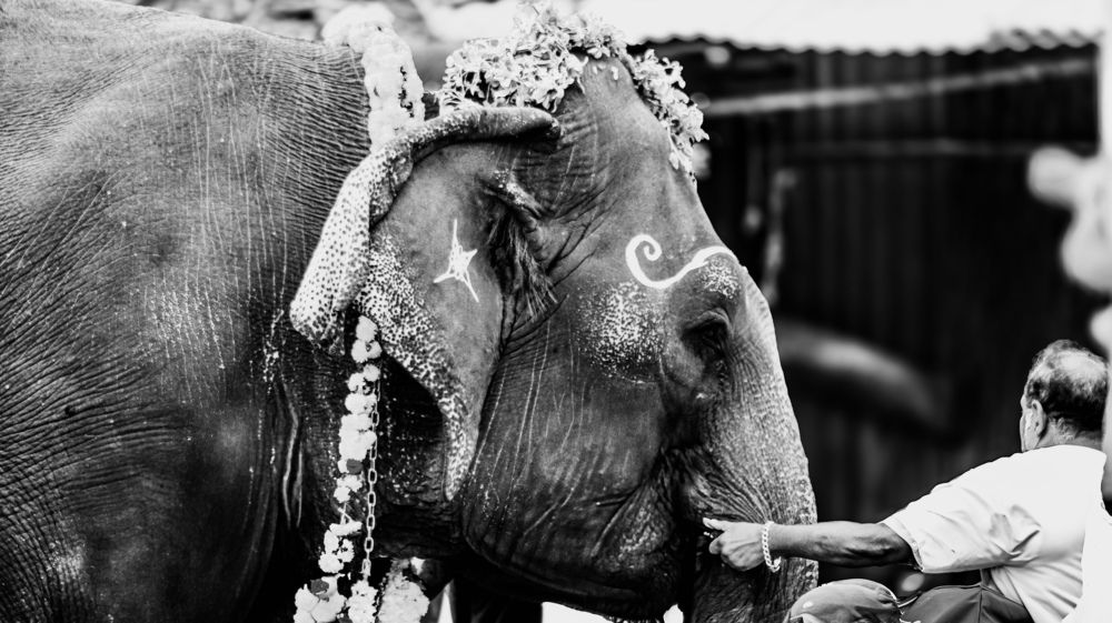 Photograph by Anurag Kashyap