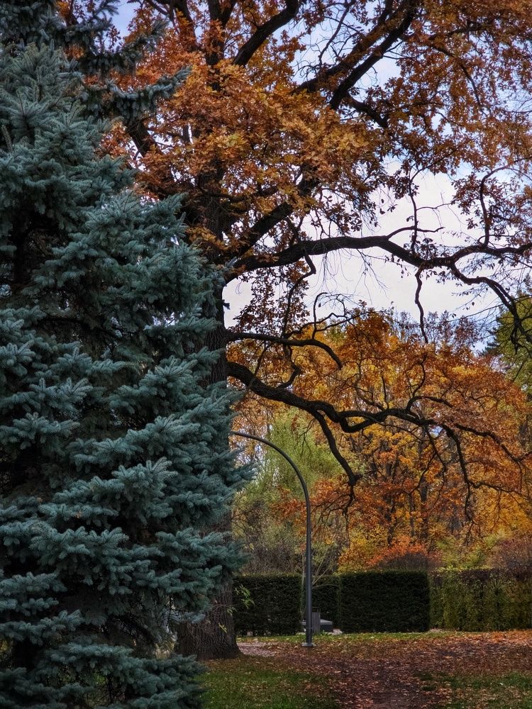 Photograph by Natali AB