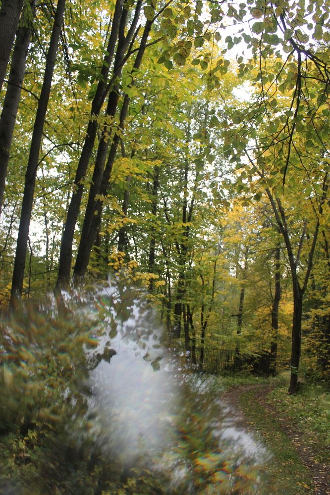 Photograph by Екатерина Хозяшева