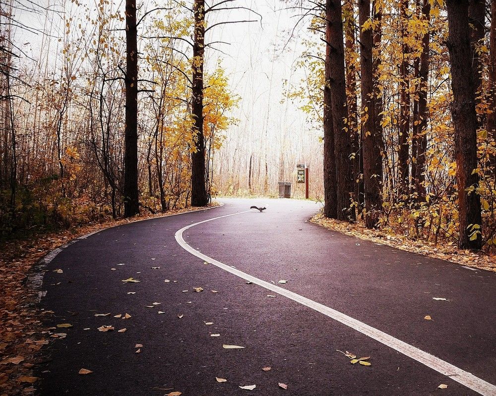 Осень в парке