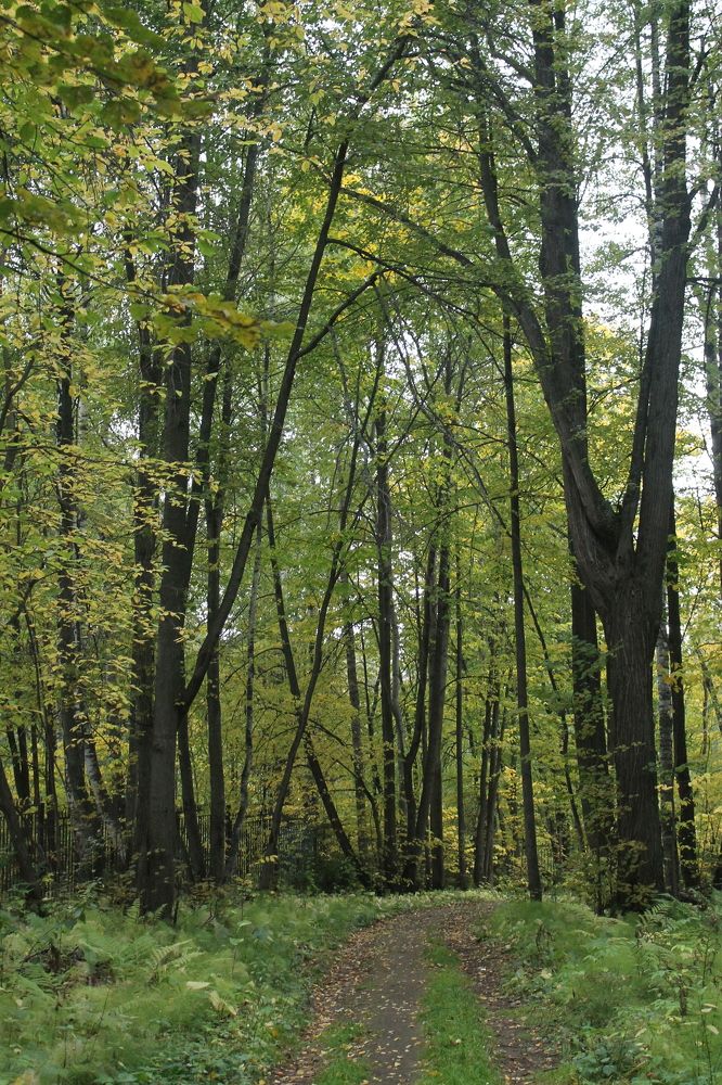 Photograph by Екатерина Хозяшева