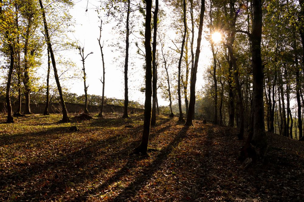 Photograph by Zahra zaroudi