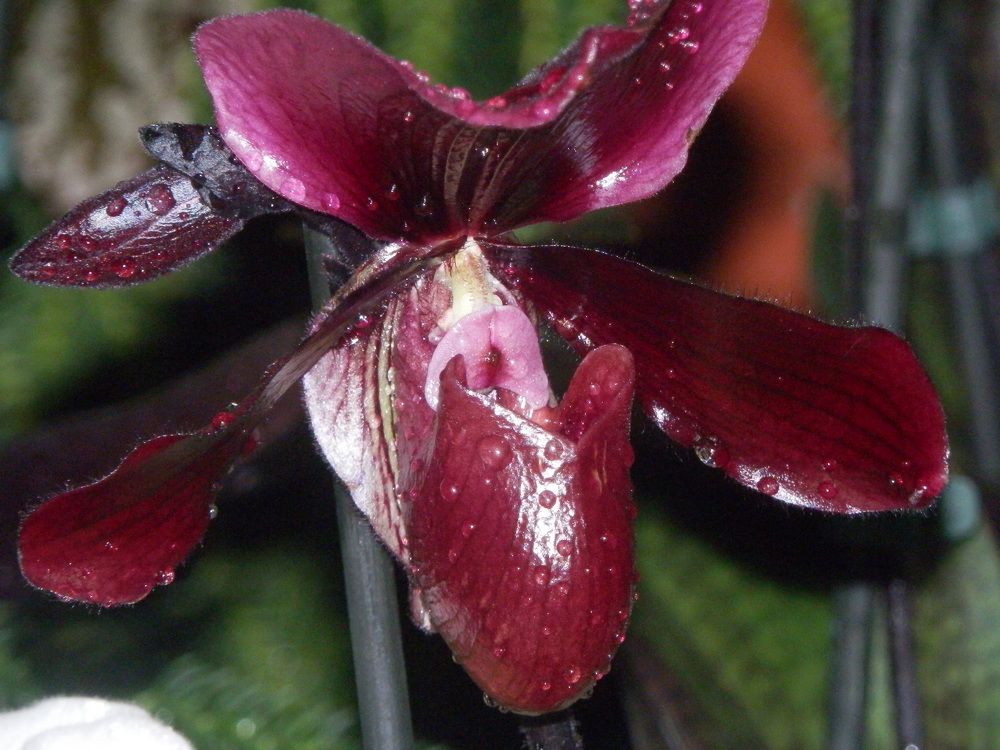 Photograph by Георгий Салюков