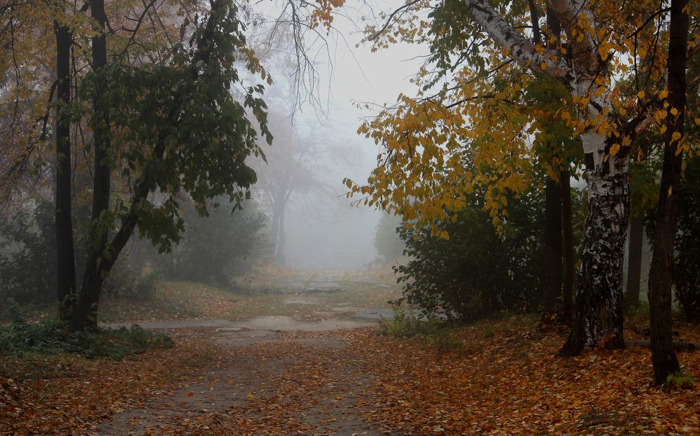 Photograph by Зоя Быкова