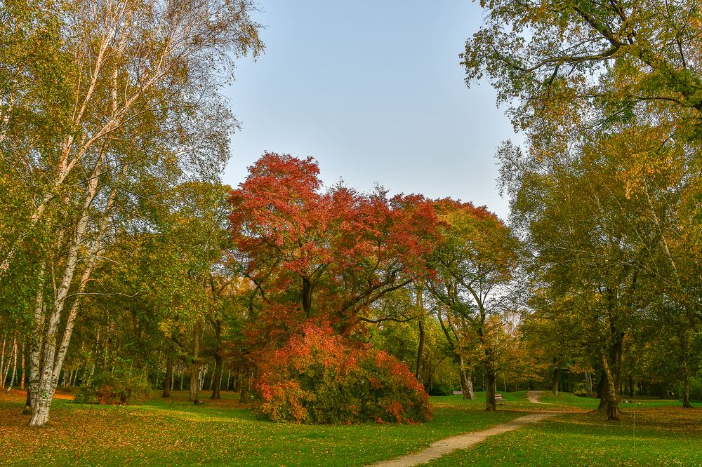 Photograph by Олег Волков