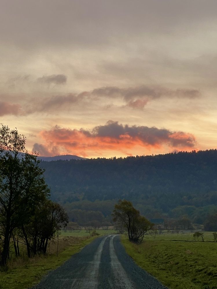 Фотография автора Елена Меньшикова