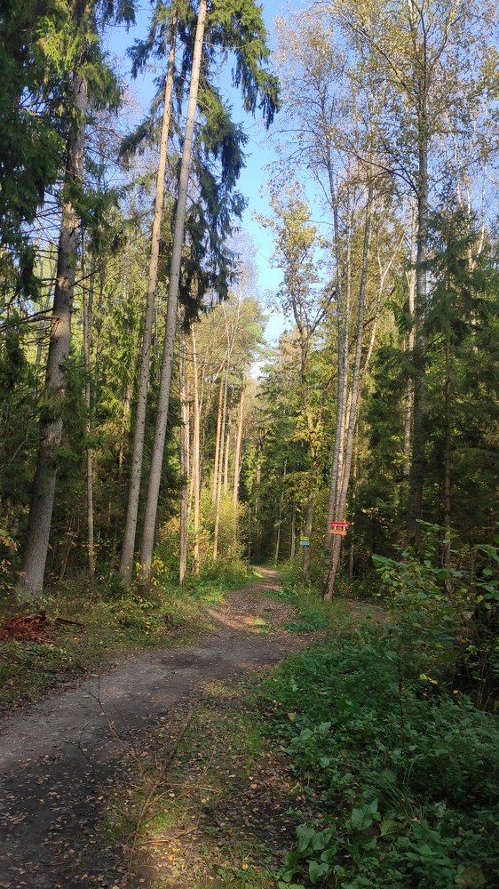 Photograph by Natalia Persidskaia