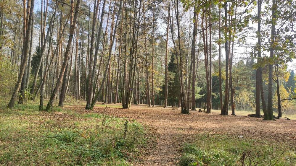 Photograph by Natalia Persidskaia