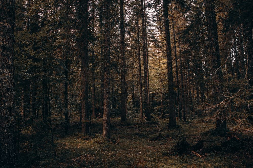 Photograph by Mattia