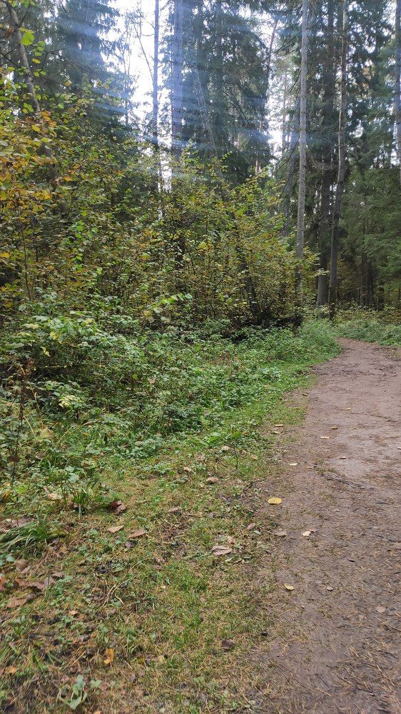 Photograph by Natalia Persidskaia