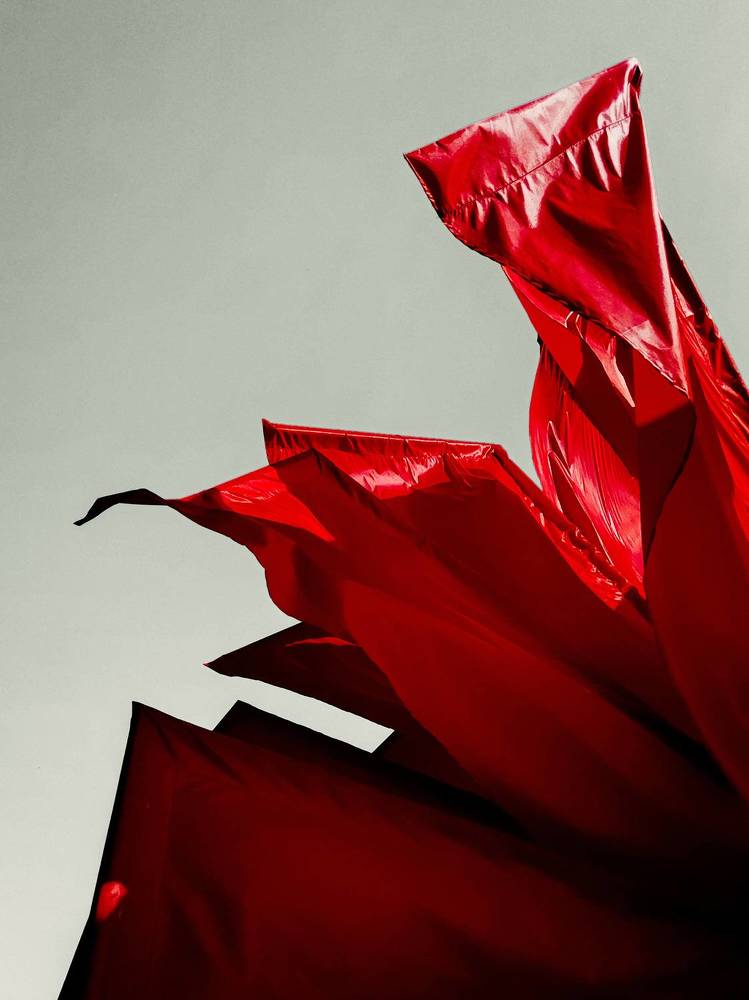 Photograph by Гульнара Зиангирова