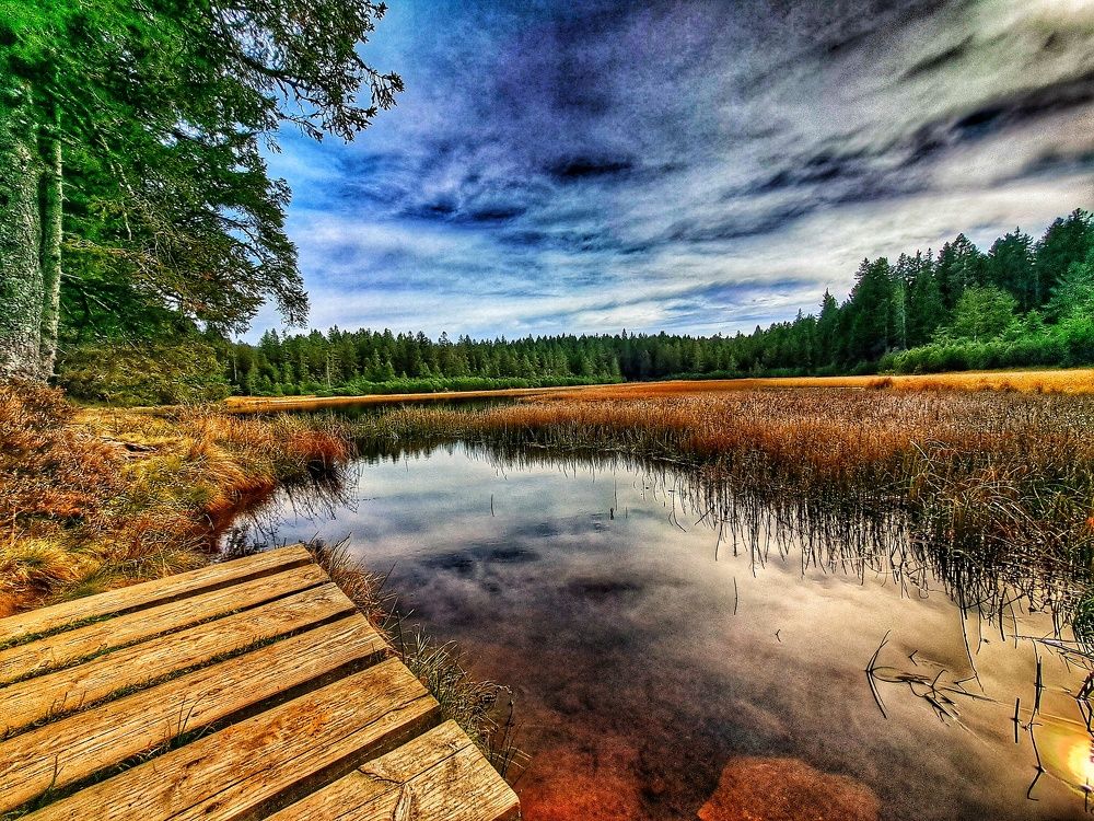 Photo #11222859