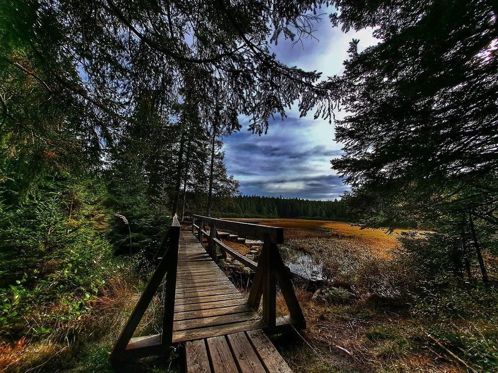 Photo #11222860