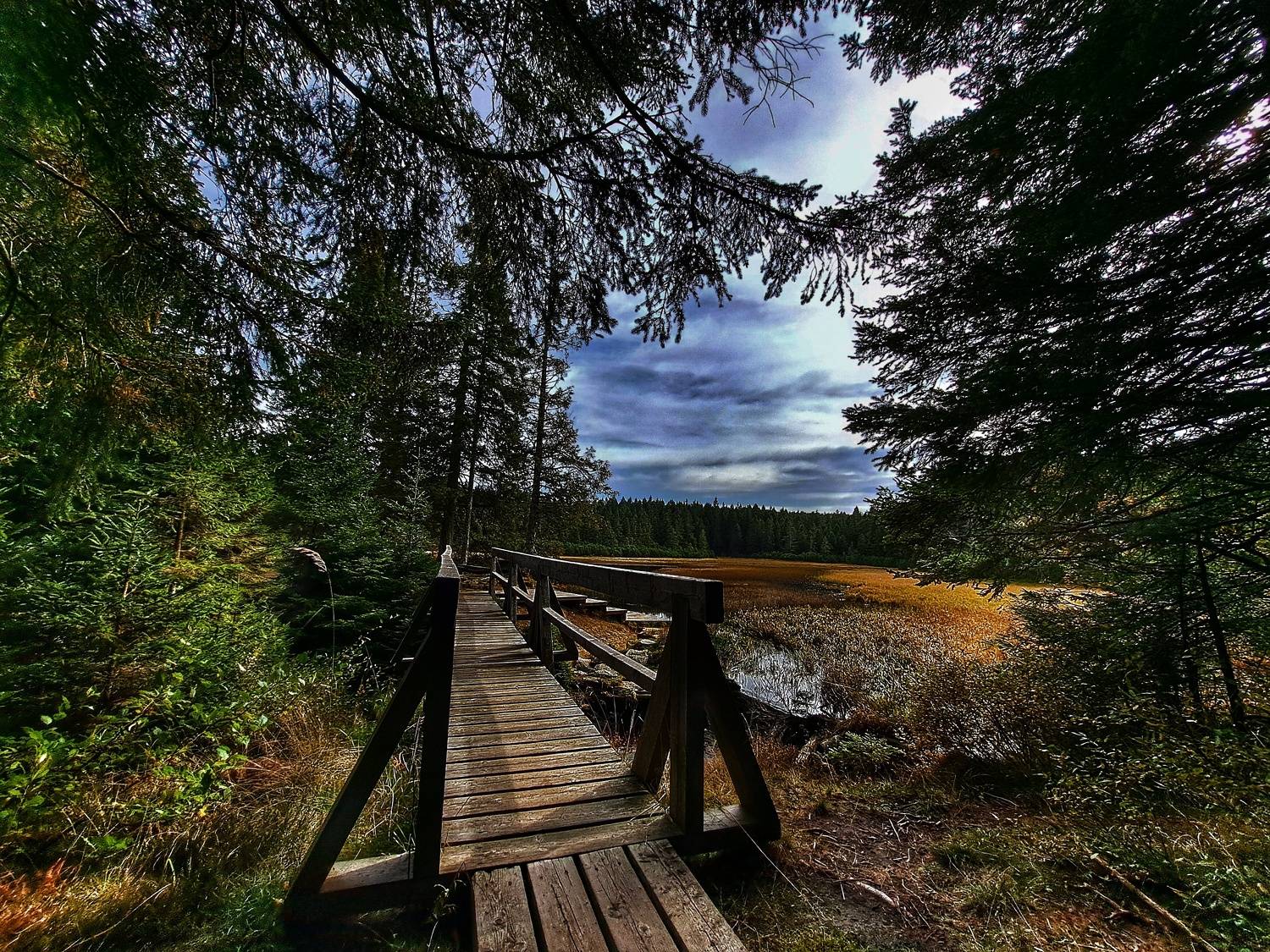 Photo #11222860