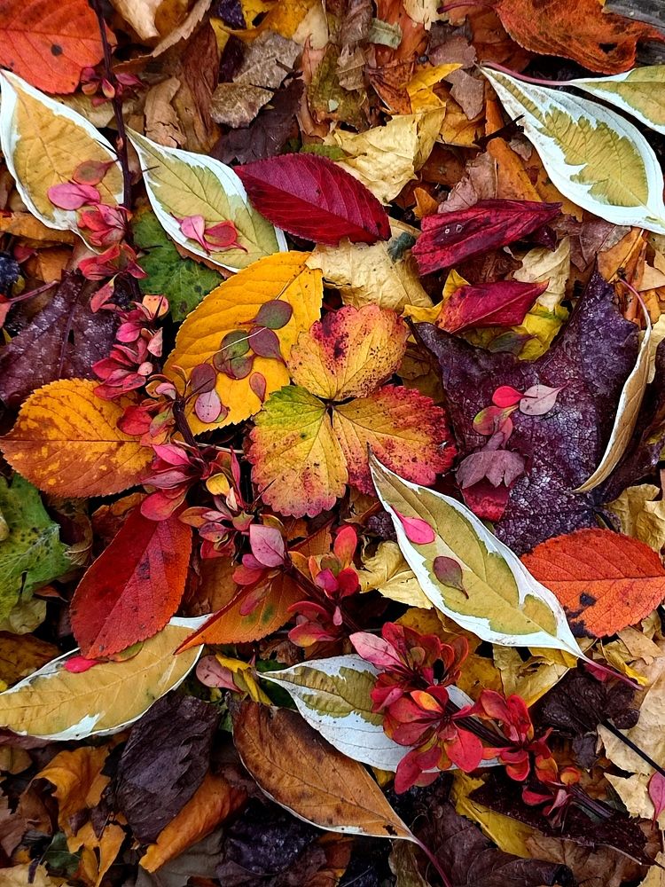 Photograph by Galina Novichkova