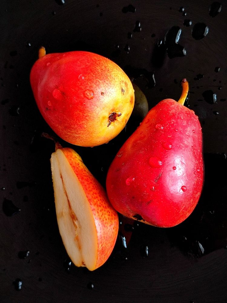 Photograph by Galina Novichkova