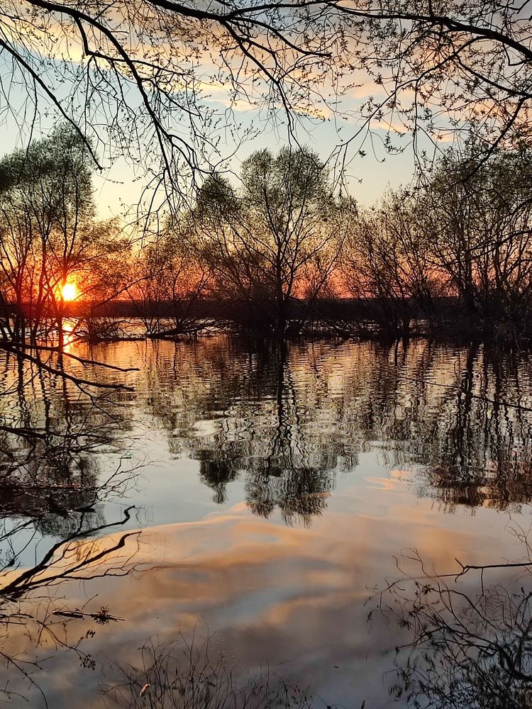 Photograph by Galina Novichkova