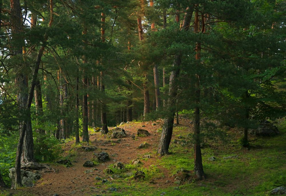 Photograph by Ирина Бескровная