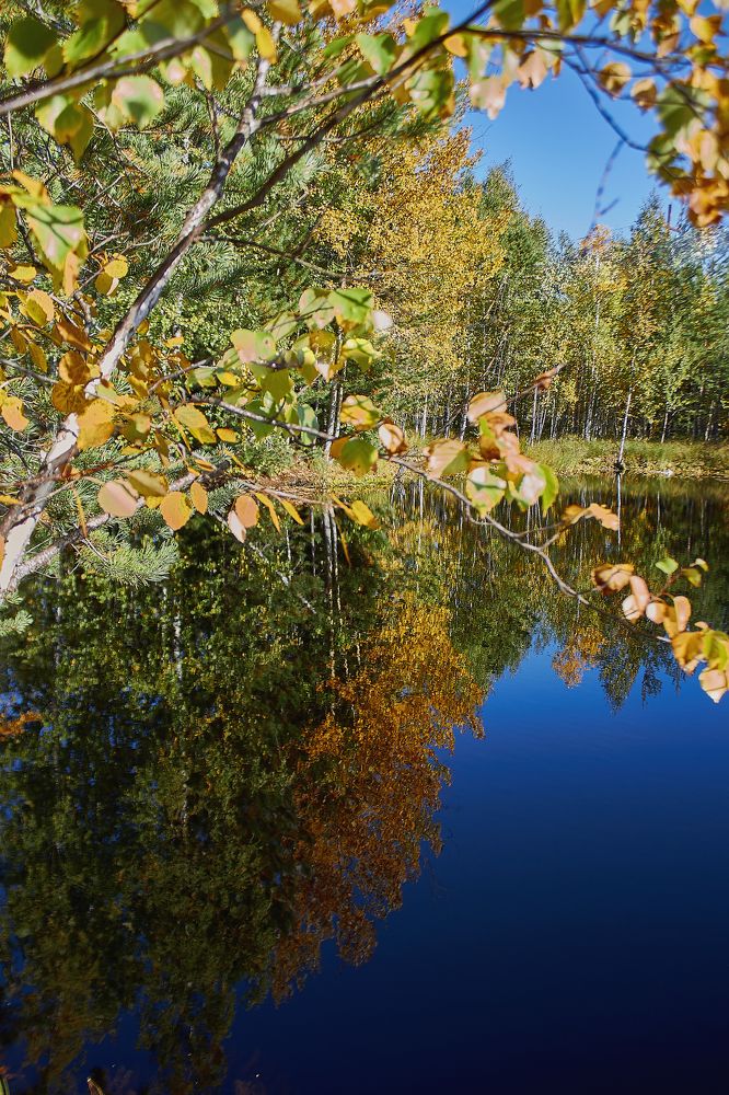 Photograph by Наталья Шевелева