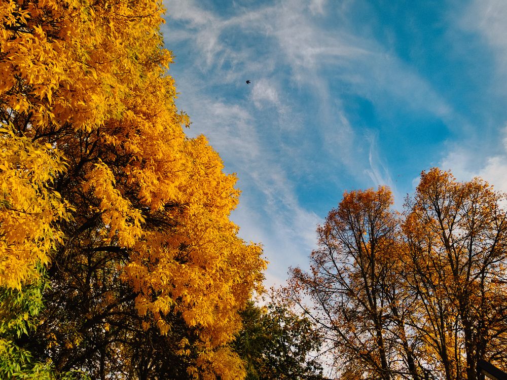 Photograph by Гульнара Зиангирова