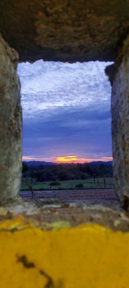 Photograph by Pradyumna K P