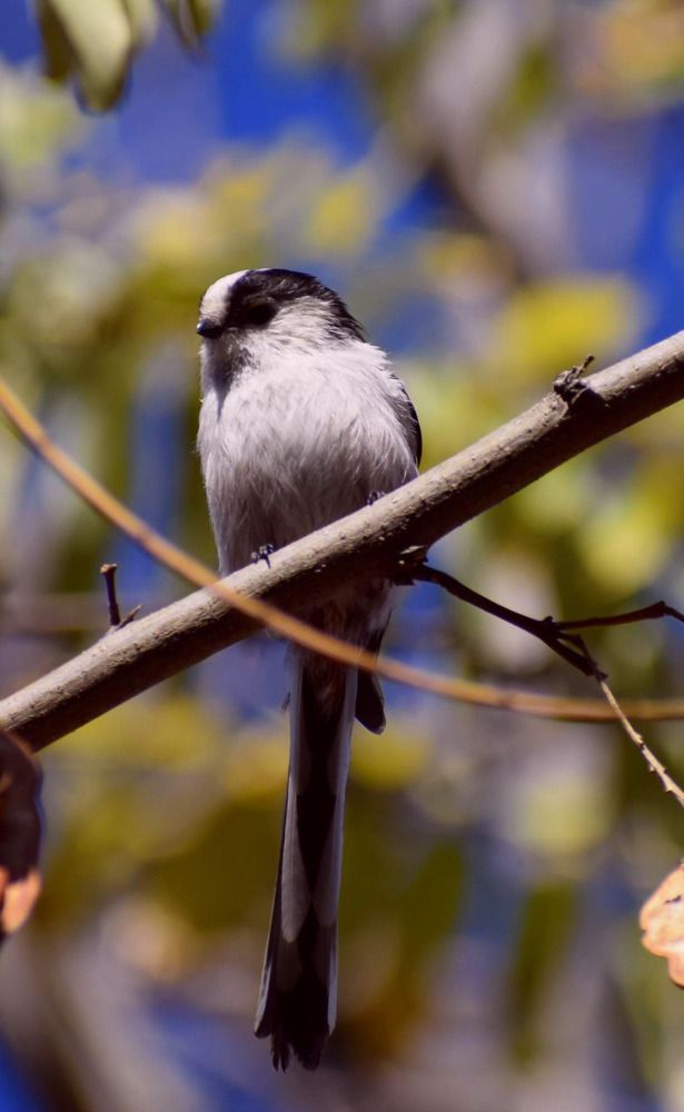 Photograph by Galia Cross