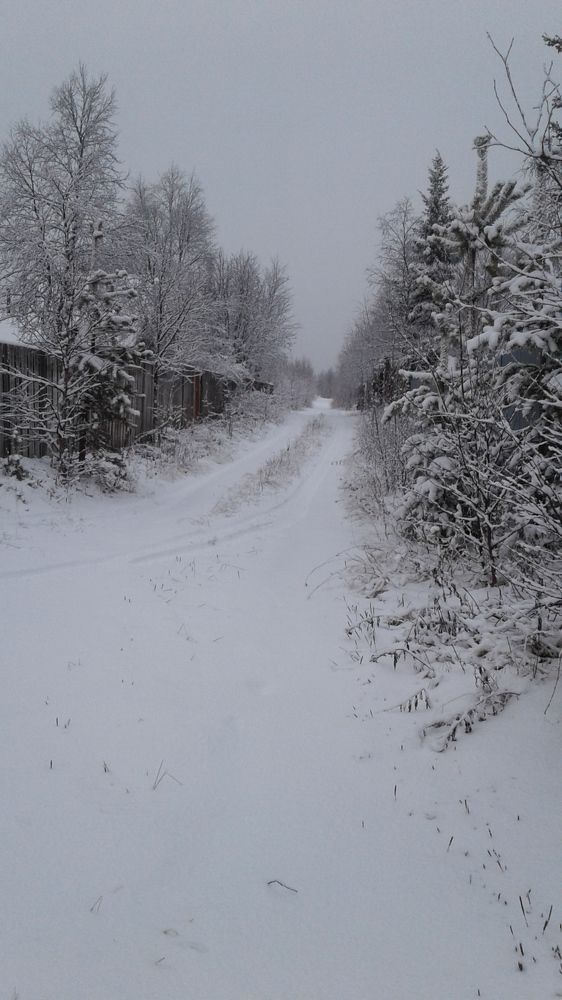 Photograph by Светлана Зотова