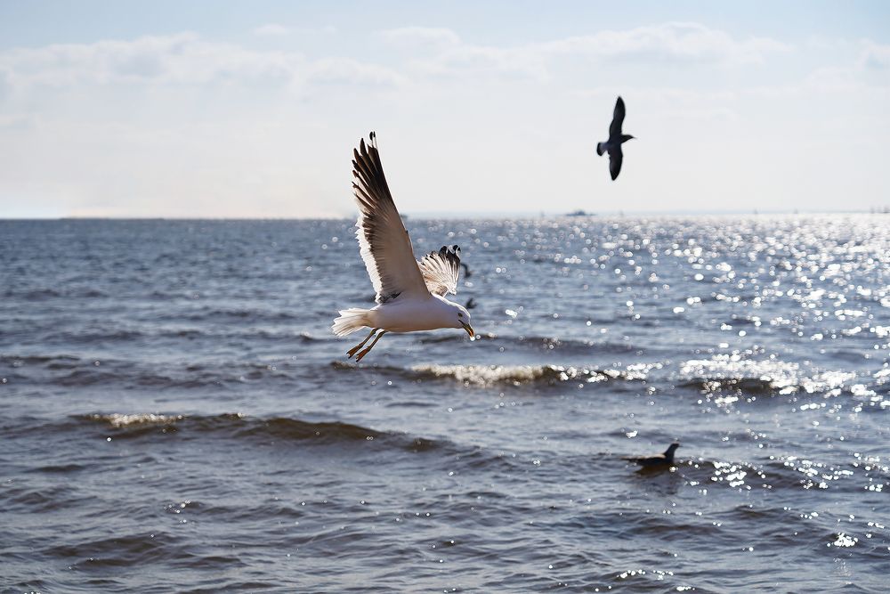 Photograph by Наталья Коржова