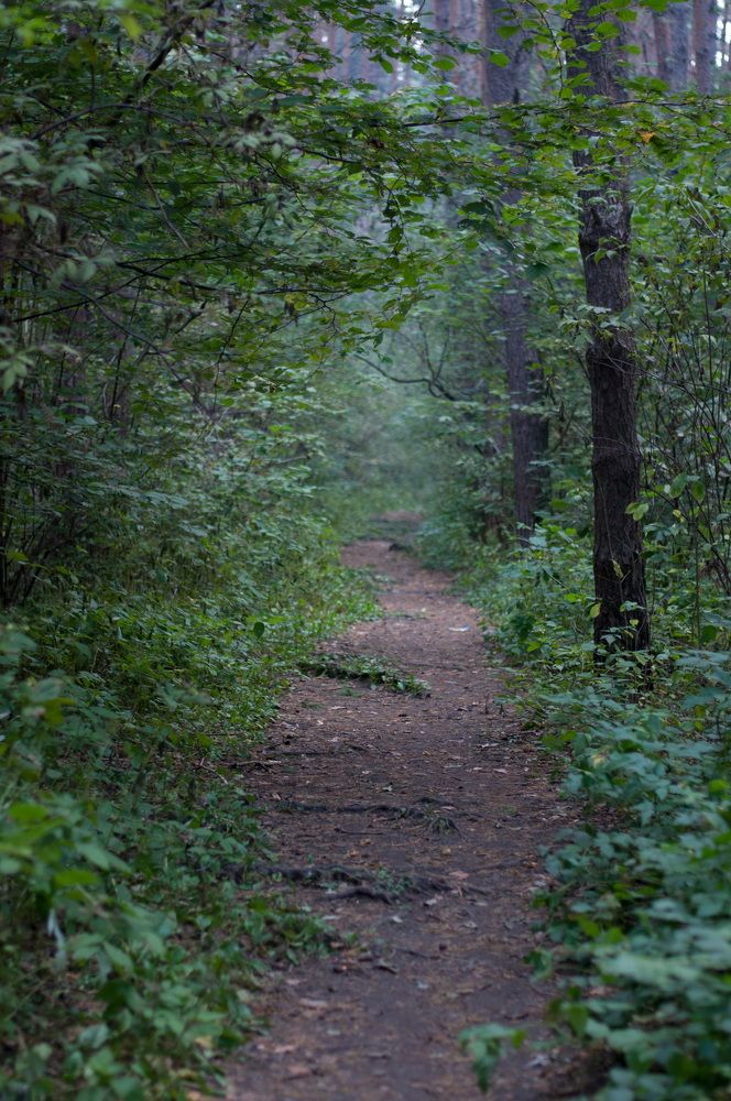 Photograph by Олеся Лагутина