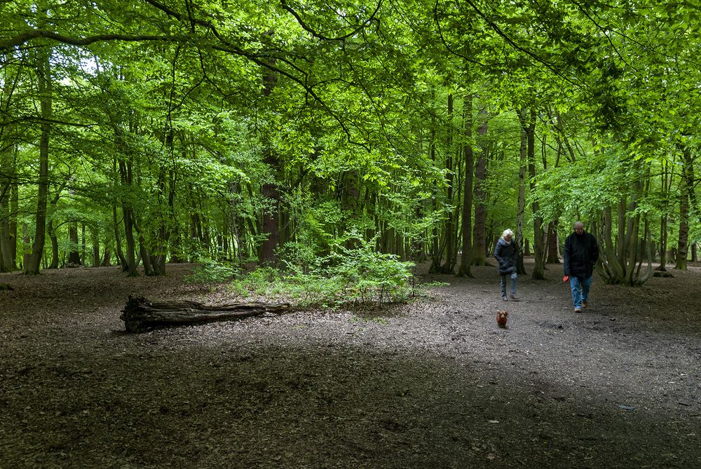 Photograph by Youssef Sabry