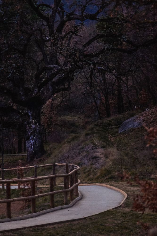 Photograph by Nikita Naumov