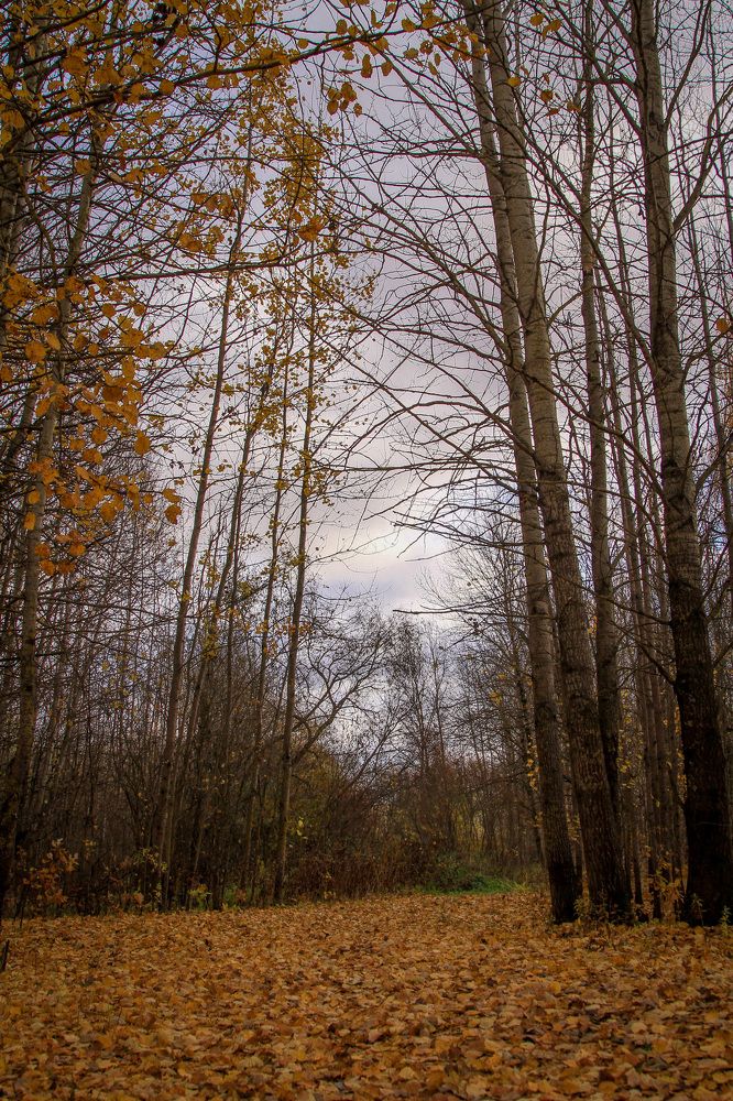 Photograph by Алёна Горелкина