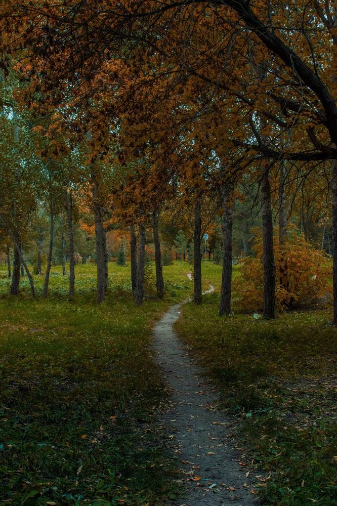 Photograph by Kanat Amre