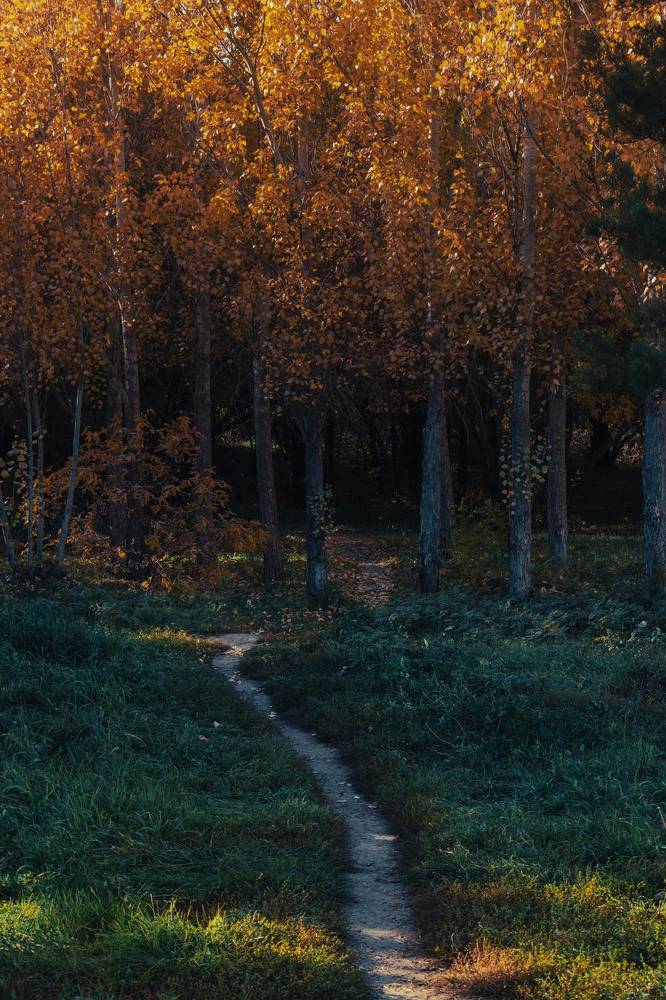 Photograph by Kanat Amre