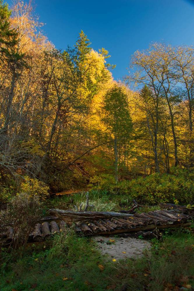 Photograph by Игорь Овсиенко