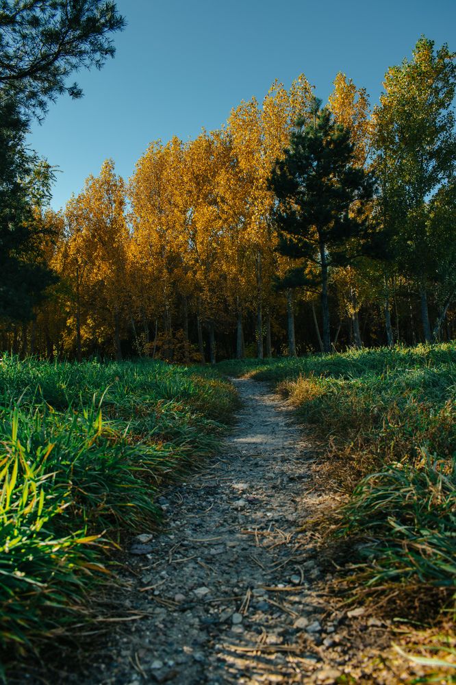 Photograph by Kanat Amre