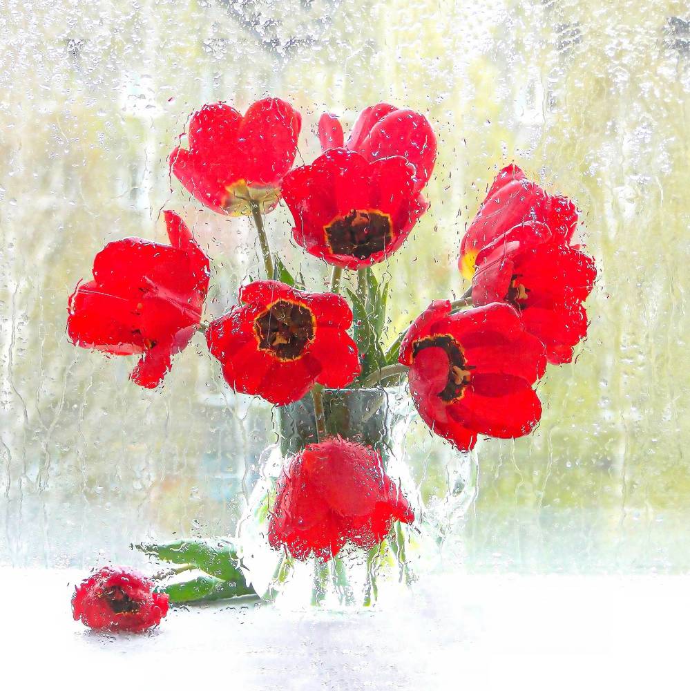 Photograph by Наталья Казанцева