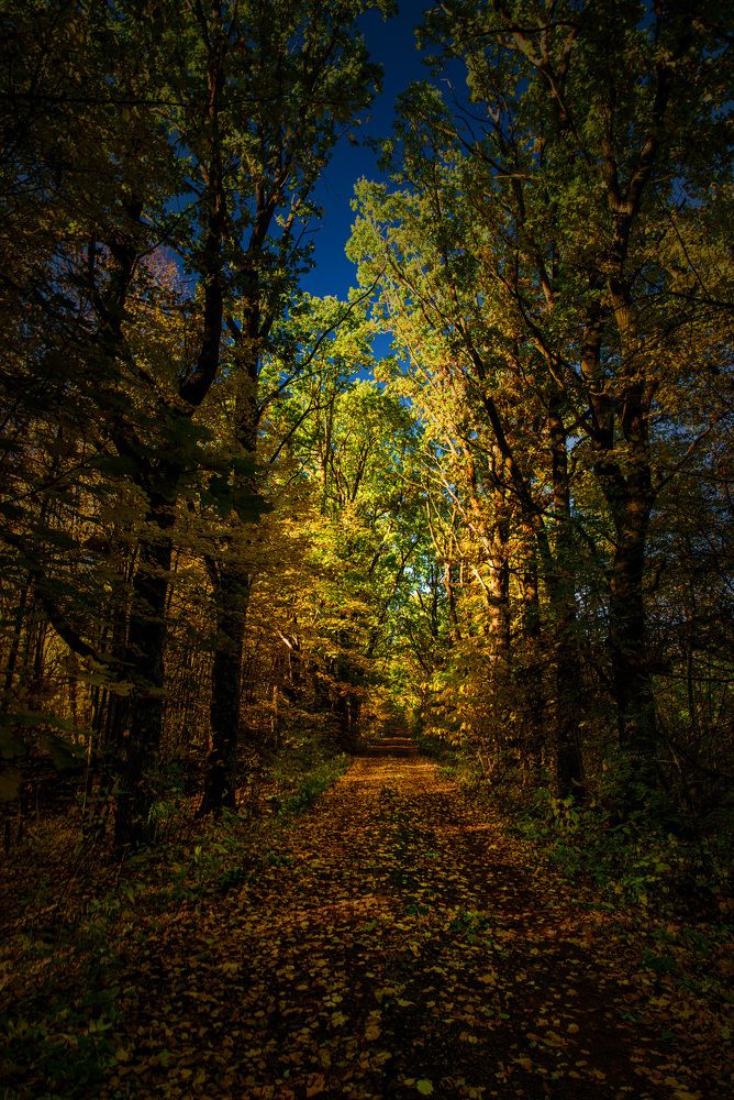 Photograph by Игорь Овсиенко