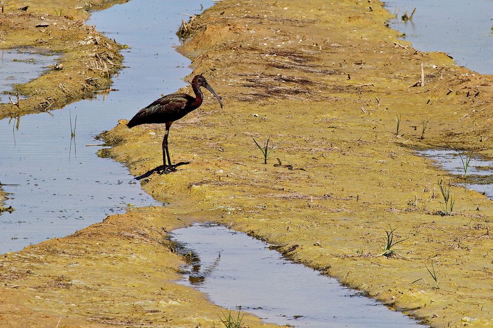 Фотография автора Александр Челмодеев