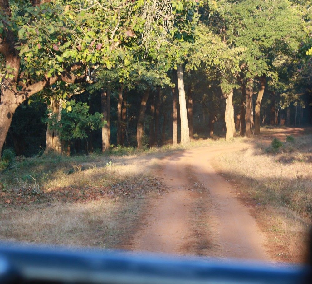 Photograph by Pradyumna K P