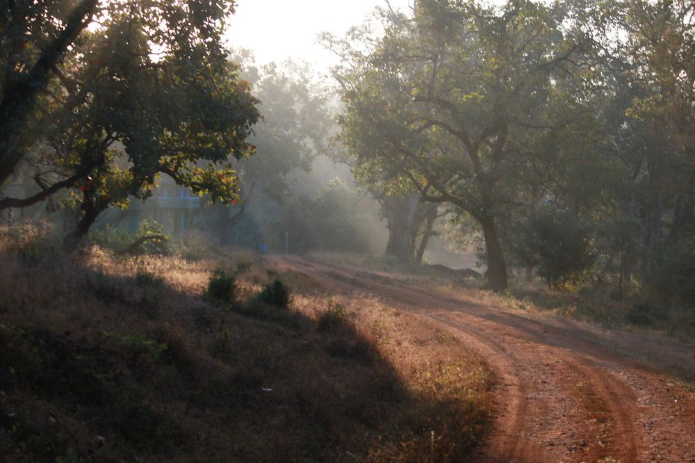 Photograph by Pradyumna K P