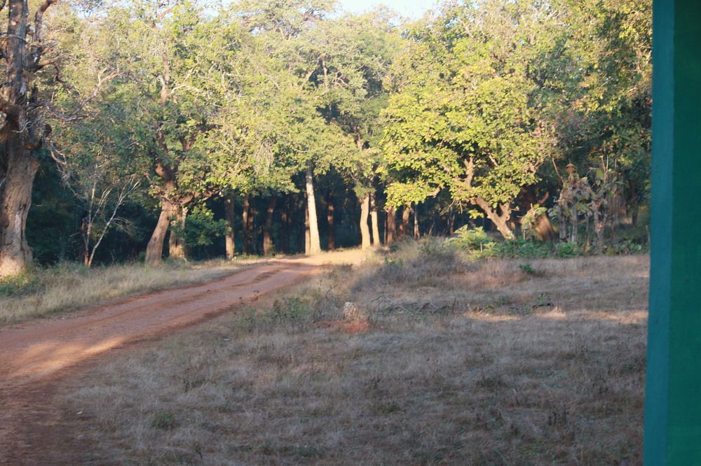 Photograph by Pradyumna K P