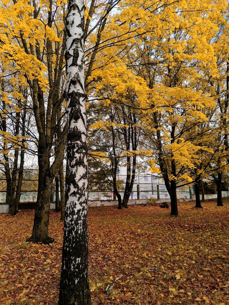 Фотография автора Анатолий Борисенко