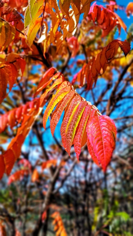 Photograph by Мария Иванова