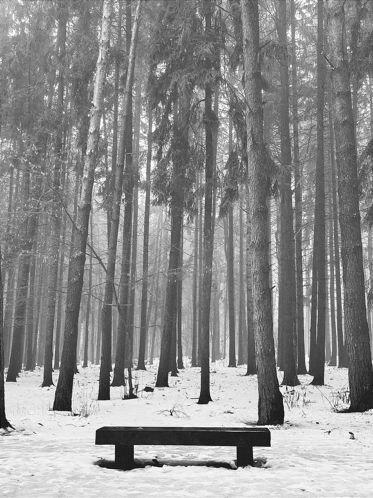 Photograph by Светлана Таркан