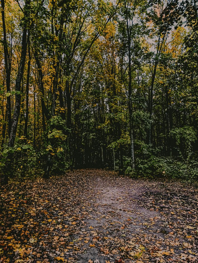 Photograph by Светлана Таркан