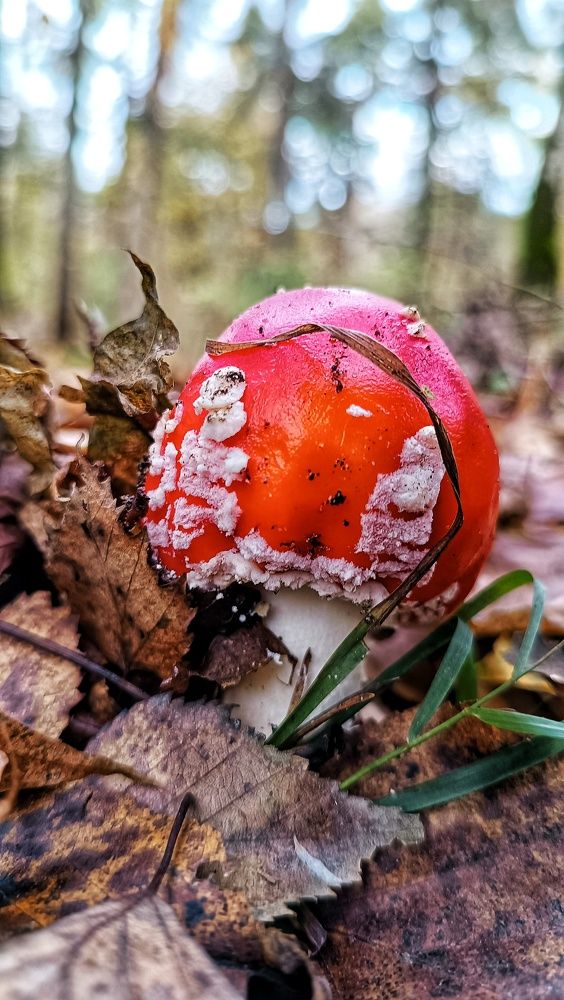 Photograph by Мария Иванова