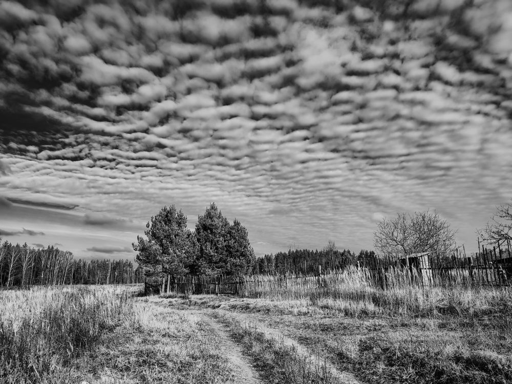 Photograph by Алёна Пшеленская