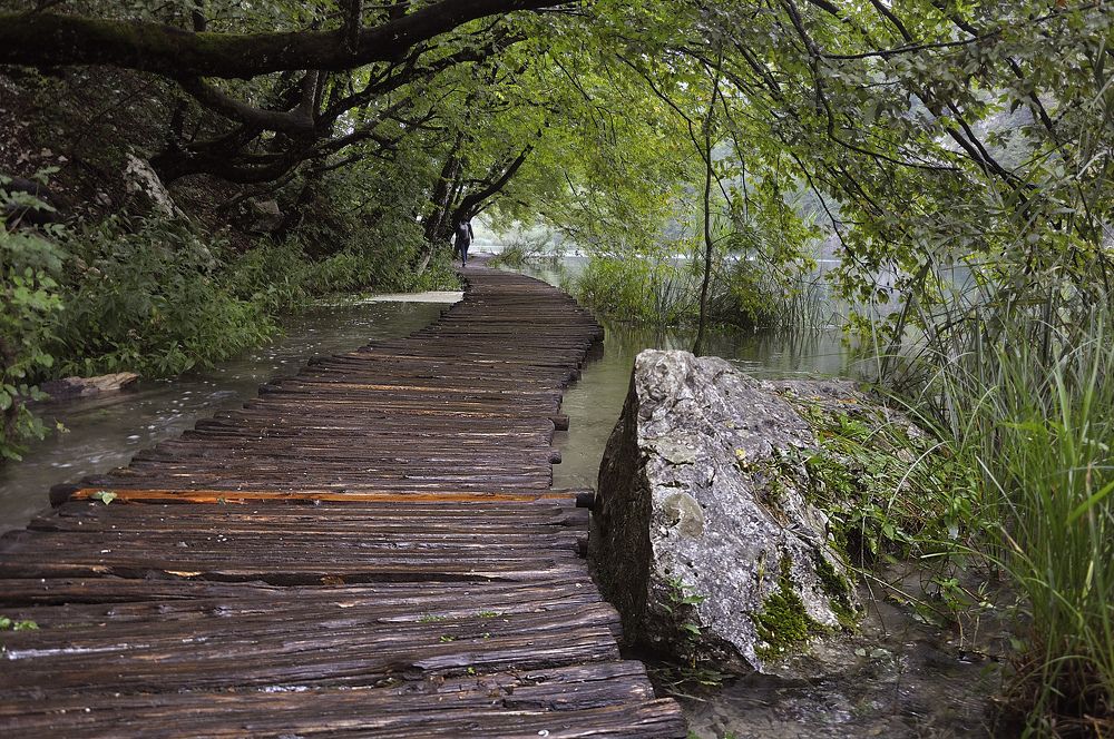 Photograph by Игорь Овсиенко