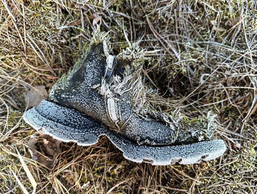 Photograph by Светлана Таркан